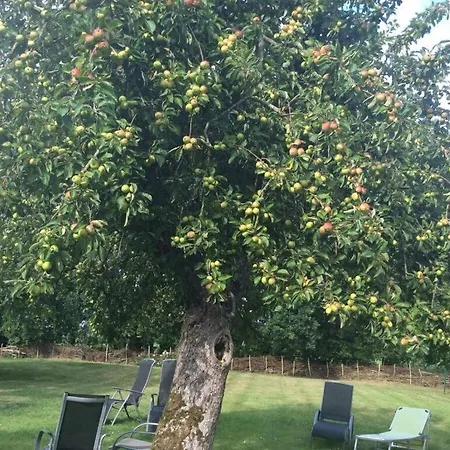 Lovely With Garden